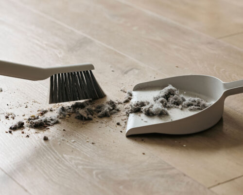 dust