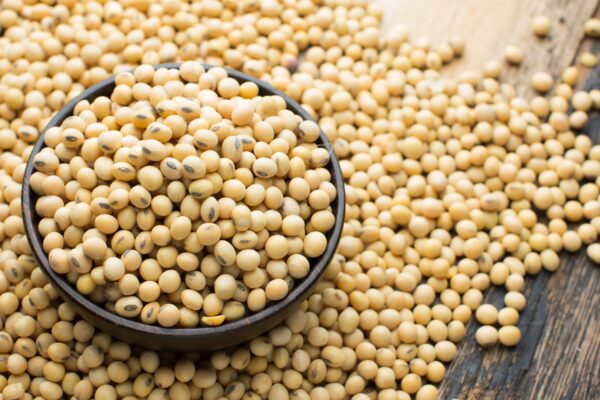 soy beans